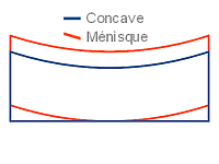 La différence de forme entre concave et ménisque